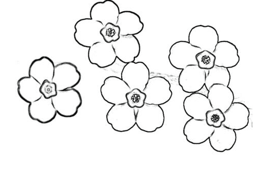 春天開的花朵簡(jiǎn)筆