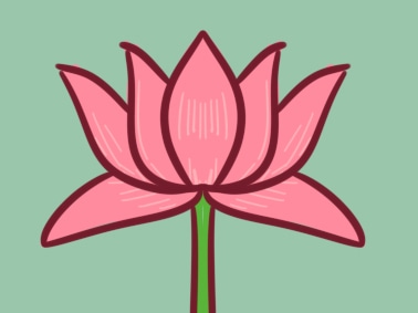 粉色的荷花<a href=http://www.inspiredelm.com/jianbihua/ target=_blank class=infotextkey>簡(jiǎn)筆畫</a>圖片怎么畫