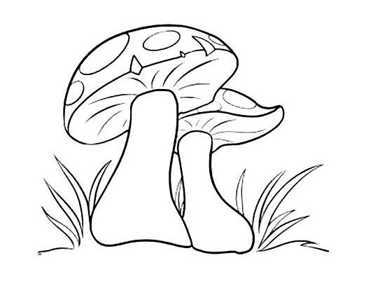 多種常見蔬菜簡筆