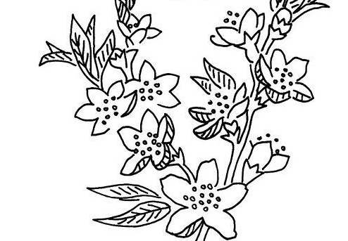 春天開的花朵簡(jiǎn)筆