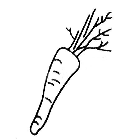 蔬菜胡蘿卜簡(jiǎn)筆