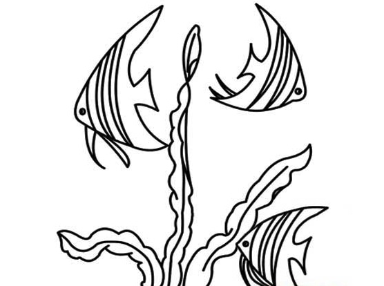 海帶植物簡筆