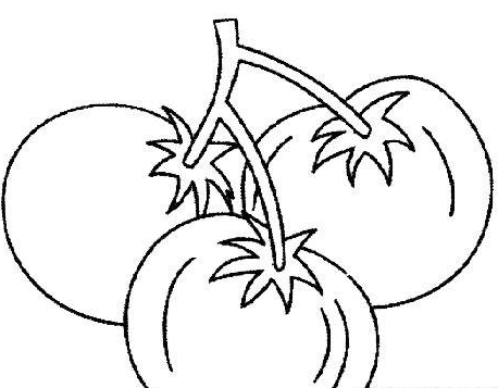 蔬菜西紅柿簡筆