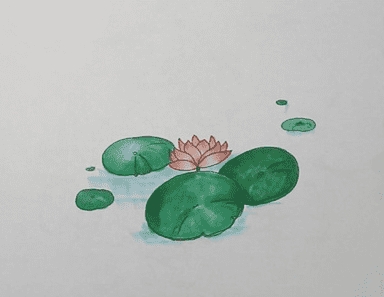 又大又圓的荷葉簡(jiǎn)筆畫(huà)畫(huà)法步驟教程