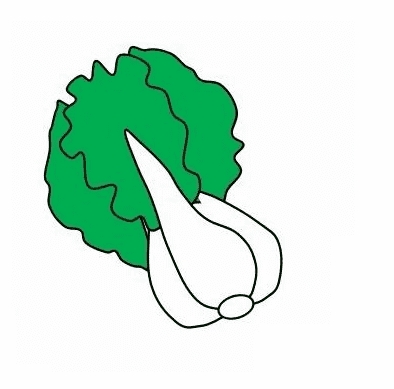 白菜簡(jiǎn)筆畫(huà)畫(huà)法步驟教程