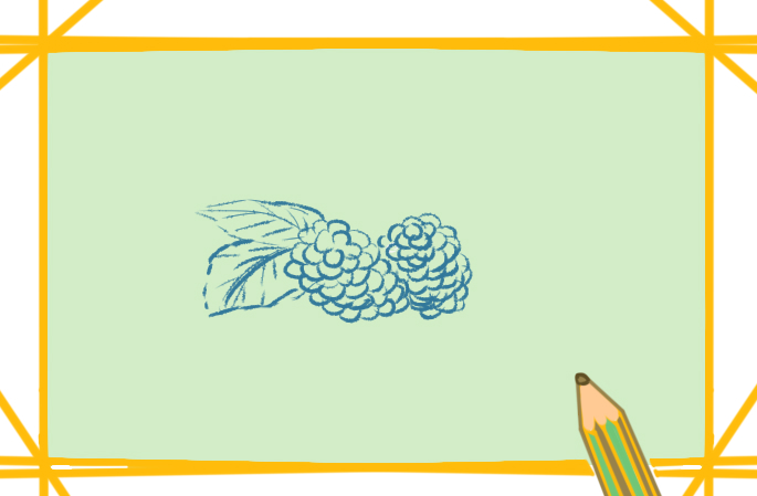 簡單的桑葚<a href=http://www.inspiredelm.com/jianbihua/ target=_blank class=infotextkey>簡筆畫</a>圖片怎么畫