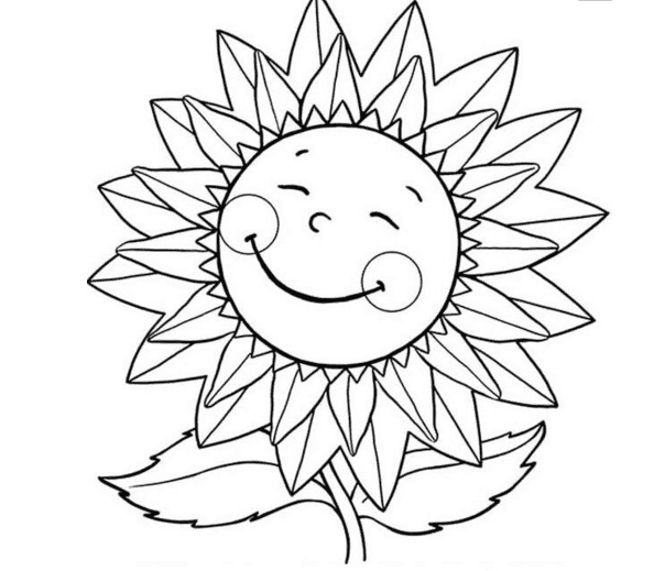 太陽(yáng)花兒童簡(jiǎn)筆