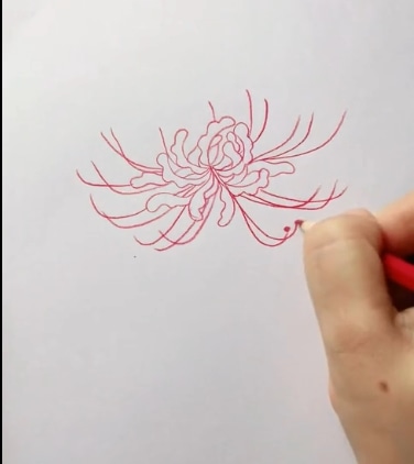 紅色彼岸花簡筆步驟
