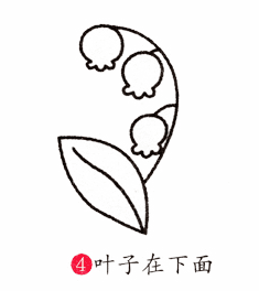 3種花簡(jiǎn)筆 畫法