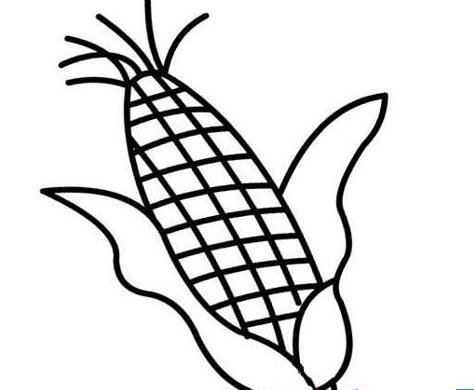 簡(jiǎn)單可愛的玉米簡(jiǎn)筆