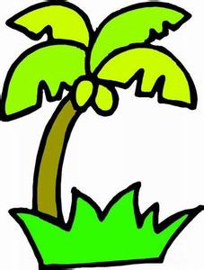 植物簡筆畫大全，椰樹簡筆畫