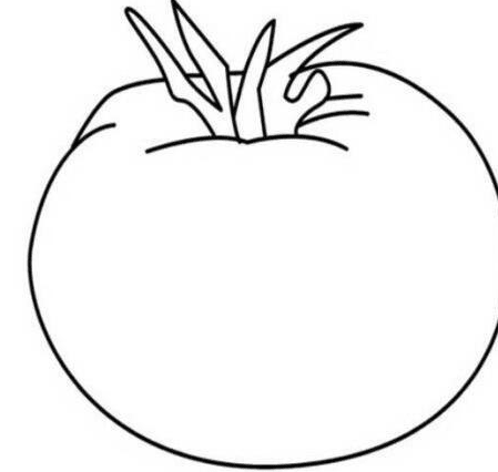 蔬菜西紅柿簡筆