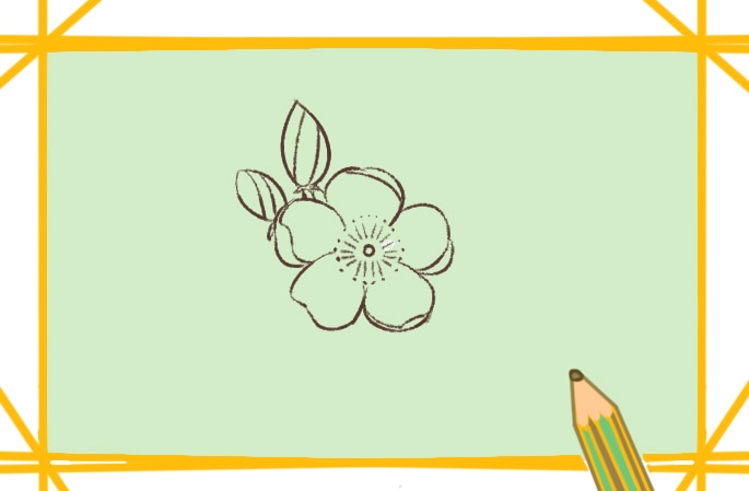 漂亮的粉色櫻花<a href=http://www.inspiredelm.com/jianbihua/ target=_blank class=infotextkey>簡筆畫</a>圖片怎么畫