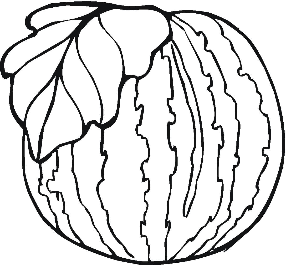 各種形狀的西瓜簡(jiǎn)筆畫(huà)