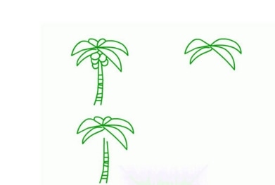 8種椰子樹(shù)簡(jiǎn)筆 畫(huà)法