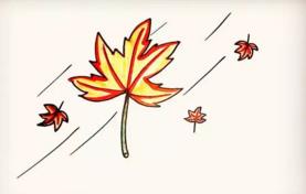 楓葉的簡(jiǎn)筆畫畫法步驟圖解