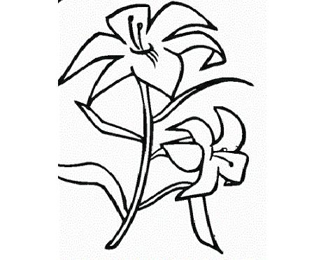一枝玉蘭花<a href=http://www.inspiredelm.com/jianbihua/ target=_blank class=infotextkey>簡(jiǎn)筆畫</a>圖片