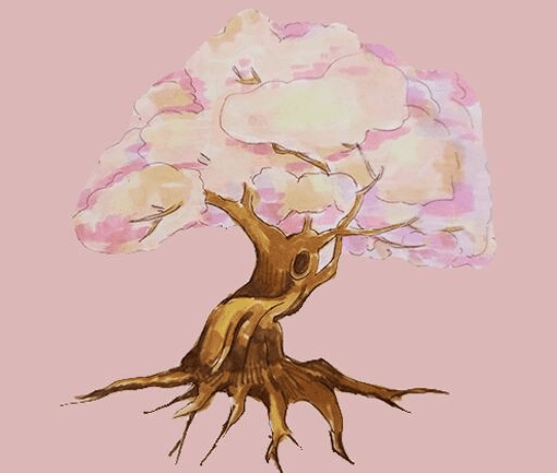 櫻花樹涂色簡筆畫步驟