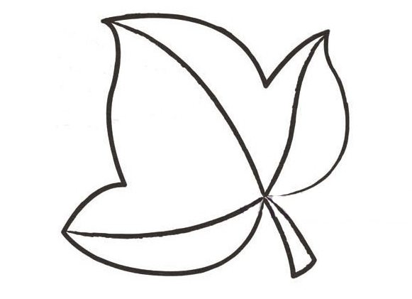 楓葉兒童簡筆畫