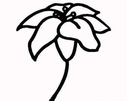 一枝玉蘭花<a href=http://www.inspiredelm.com/jianbihua/ target=_blank class=infotextkey>簡(jiǎn)筆畫</a>圖片