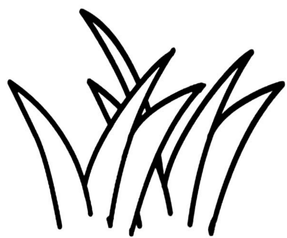簡(jiǎn)單好看的小草簡(jiǎn)筆