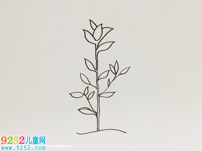 茶樹怎么畫步驟