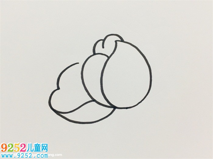 芍藥簡(jiǎn)單畫(huà)法