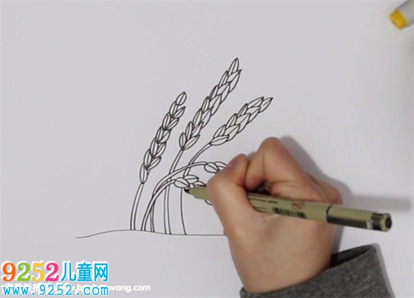 豐收的稻谷<a href=http://www.inspiredelm.com/jianbihua/ target=_blank class=infotextkey>簡筆畫</a>
