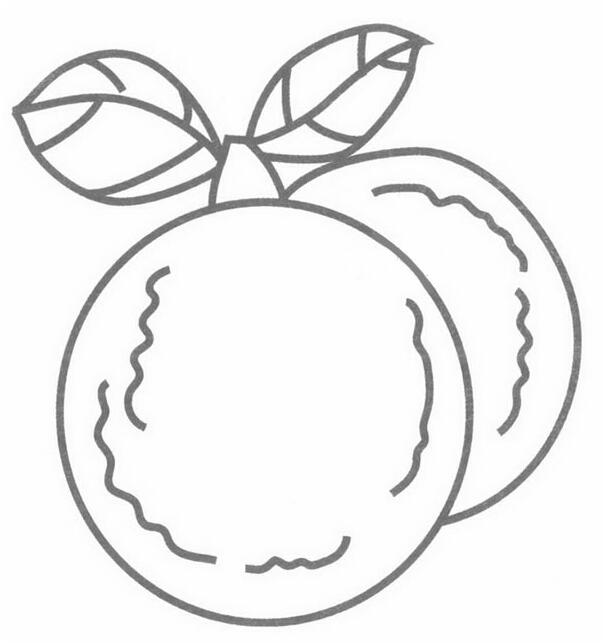 水果簡(jiǎn)筆畫圖片，楊梅簡(jiǎn)筆畫