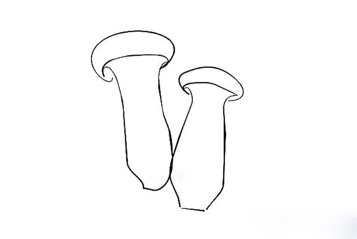 兒童果蔬簡(jiǎn)筆畫，簡(jiǎn)單的杏鮑菇簡(jiǎn)筆畫