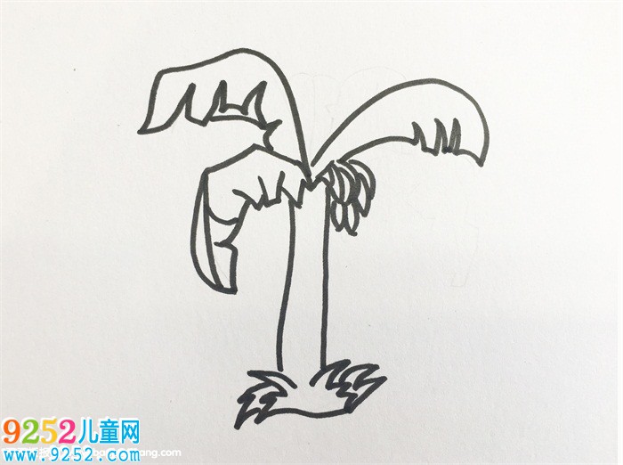香蕉樹怎么畫
