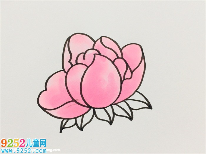 芍藥簡(jiǎn)單畫(huà)法