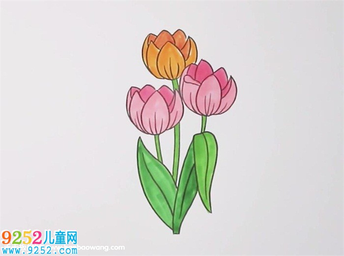郁金香<a href=http://www.inspiredelm.com/jianbihua/ target=_blank class=infotextkey>簡筆畫</a>