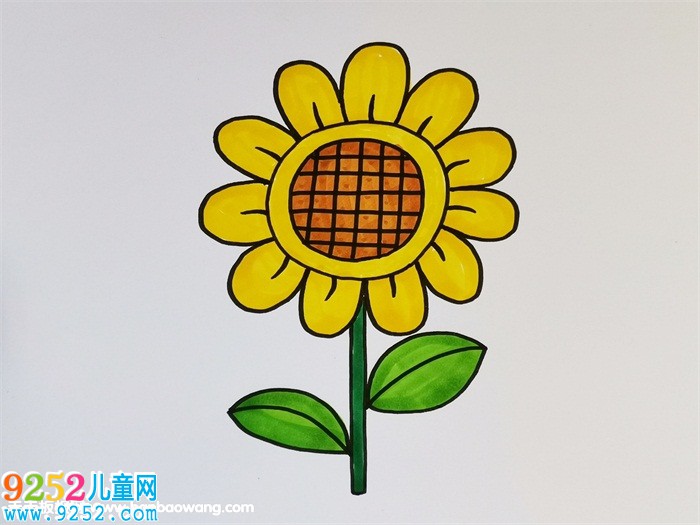 向日葵<a href=http://www.inspiredelm.com/jianbihua/ target=_blank class=infotextkey>簡筆畫</a>彩色
