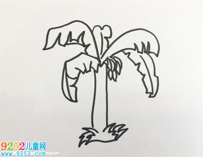 香蕉樹怎么畫