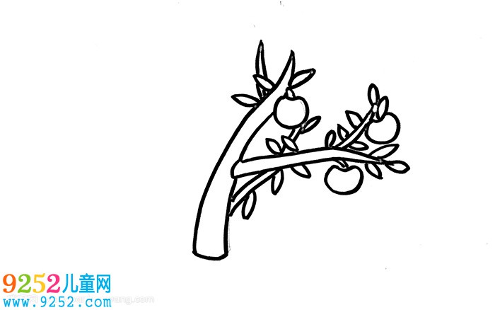 蘋果樹怎么畫簡單又好看