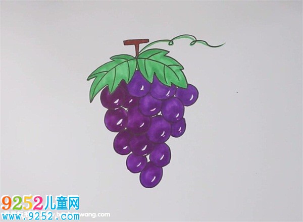 葡萄<a href=http://www.inspiredelm.com/jianbihua/ target=_blank class=infotextkey>簡(jiǎn)筆畫</a>