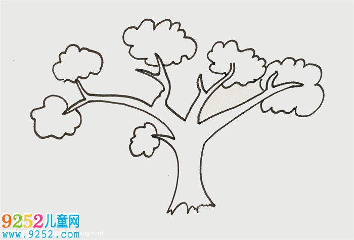 樹冠怎么畫