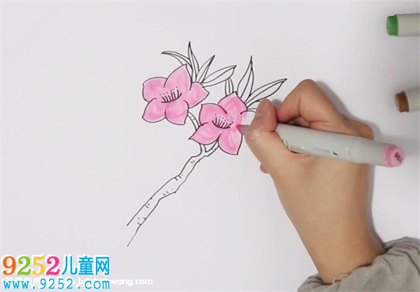 桃花<a href=http://www.inspiredelm.com/jianbihua/ target=_blank class=infotextkey>簡筆畫</a>