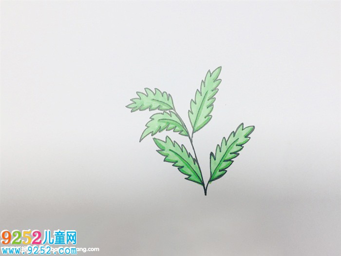 艾草怎么畫(huà)