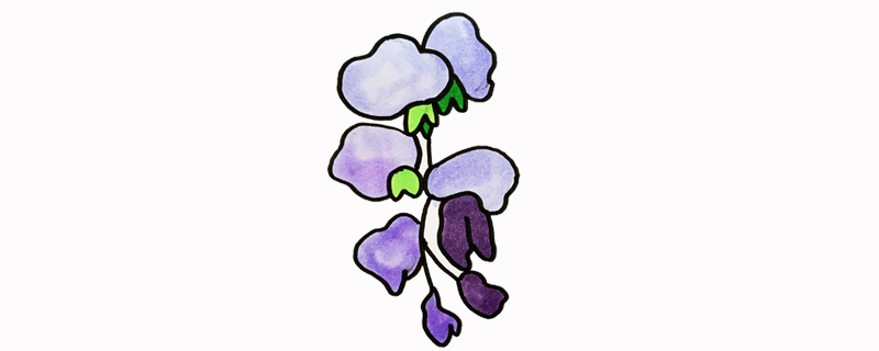 紫藤花怎么畫