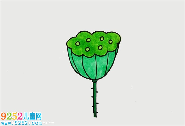 蓮蓬怎么畫