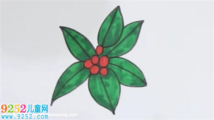冬青<a href=http://www.inspiredelm.com/jianbihua/ target=_blank class=infotextkey>簡(jiǎn)筆畫(huà)</a>