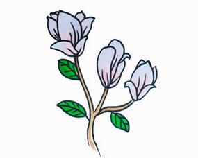 玉蘭花怎么畫？