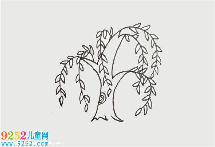 柳樹畫法