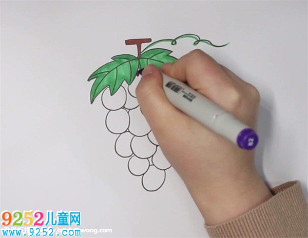 葡萄<a href=http://www.inspiredelm.com/jianbihua/ target=_blank class=infotextkey>簡(jiǎn)筆畫</a>