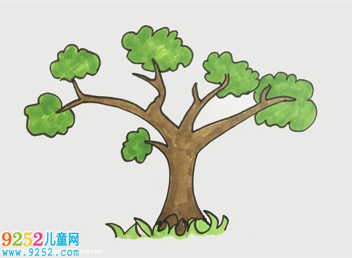 樹冠怎么畫