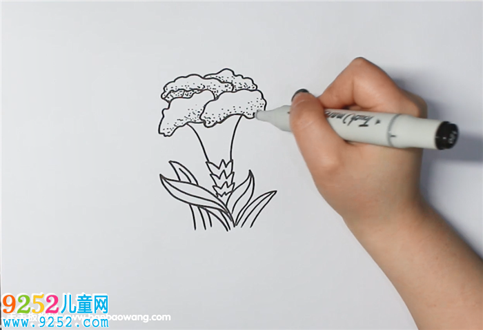 雞冠花<a href=http://www.inspiredelm.com/jianbihua/ target=_blank class=infotextkey>簡(jiǎn)筆畫</a>