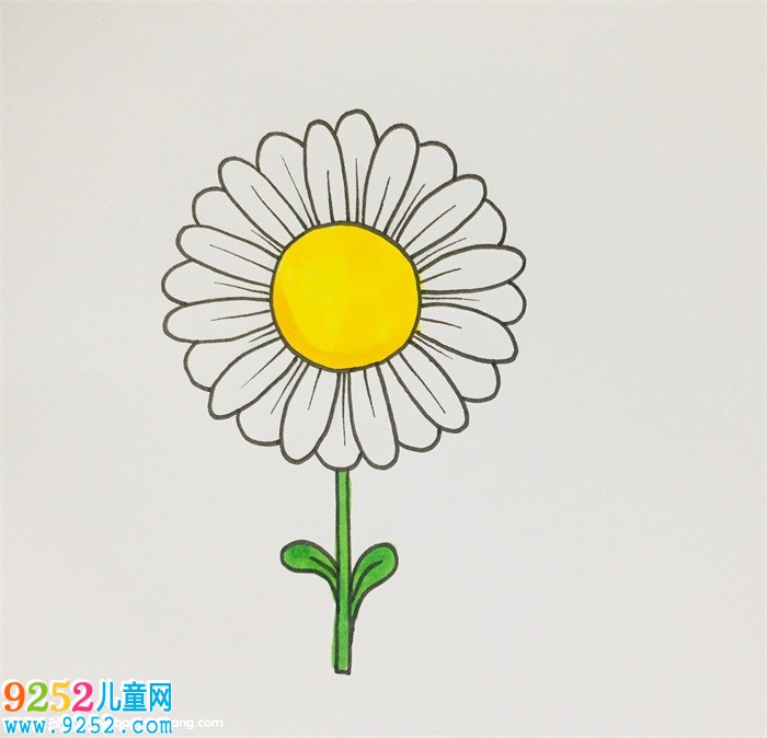 雛菊怎么畫