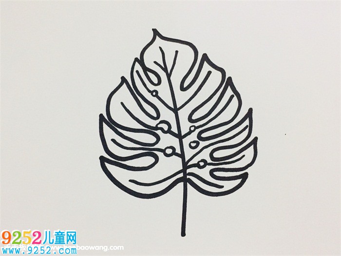 龜背竹的畫法